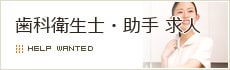 歯科衛生士・助手 求人